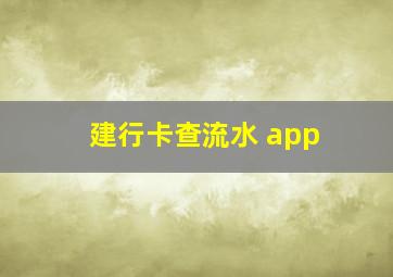 建行卡查流水 app